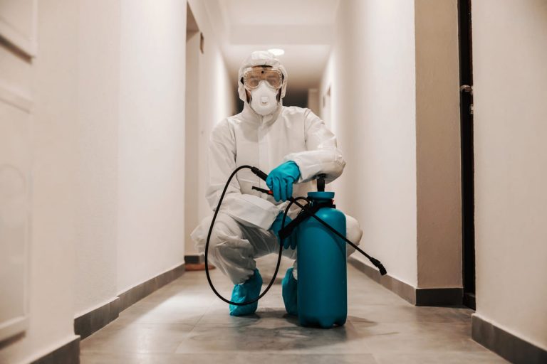 Intervention d'un technicien Deratox pour une dératisation