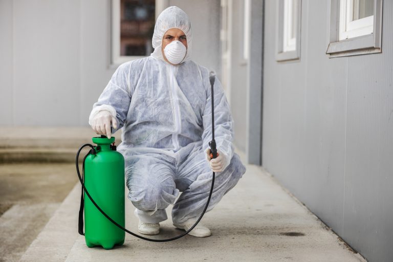 Intervention d'un technicien Deratox pour une dératisation